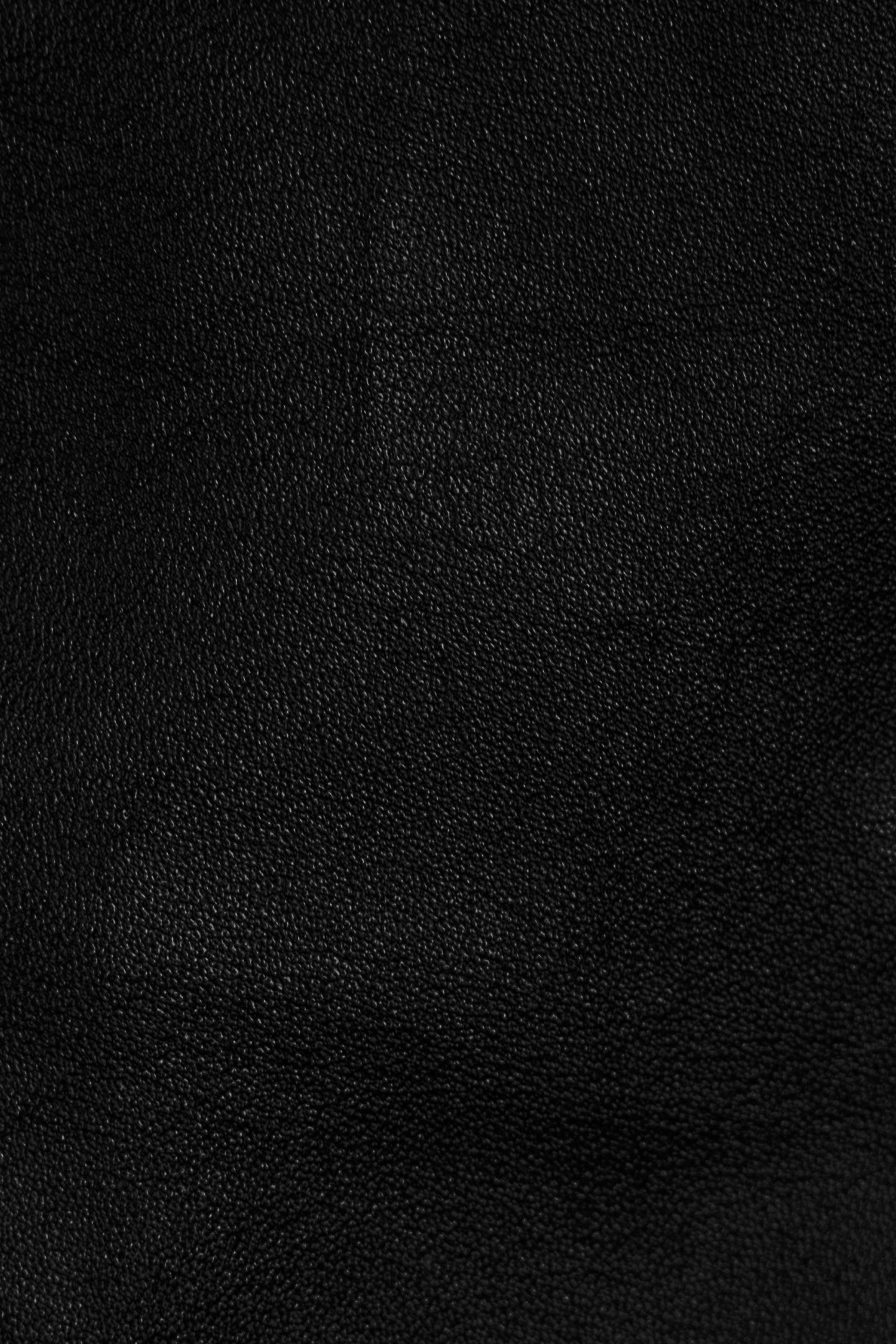 REUDE LEATHER TOTE