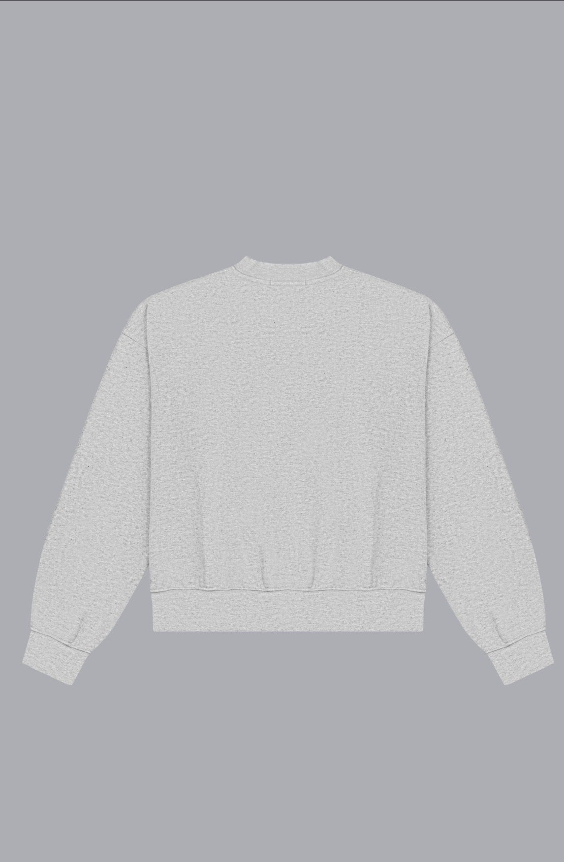SWEATSHIRT - GRAY